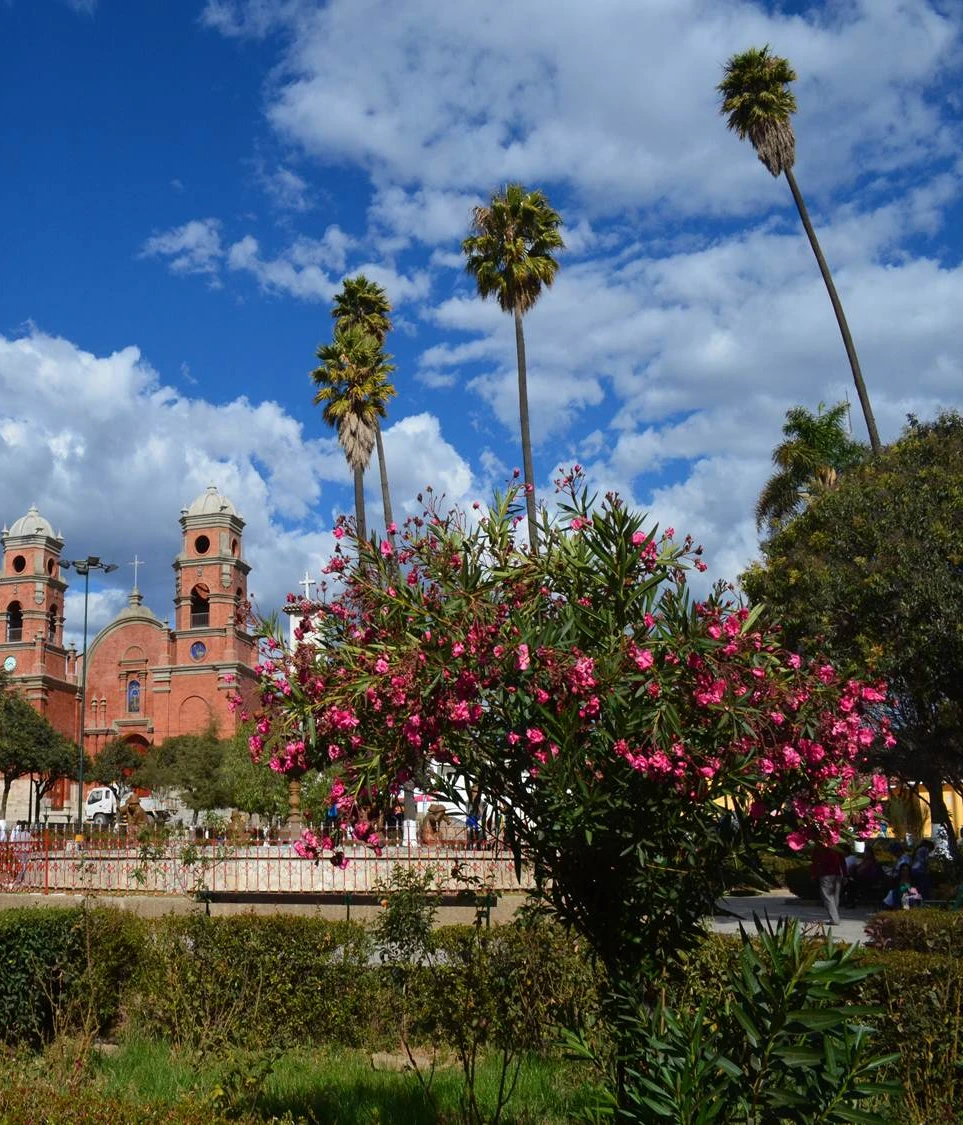 Iglesia y Plaza de Armas de Carhuaz entre palmeras y flores